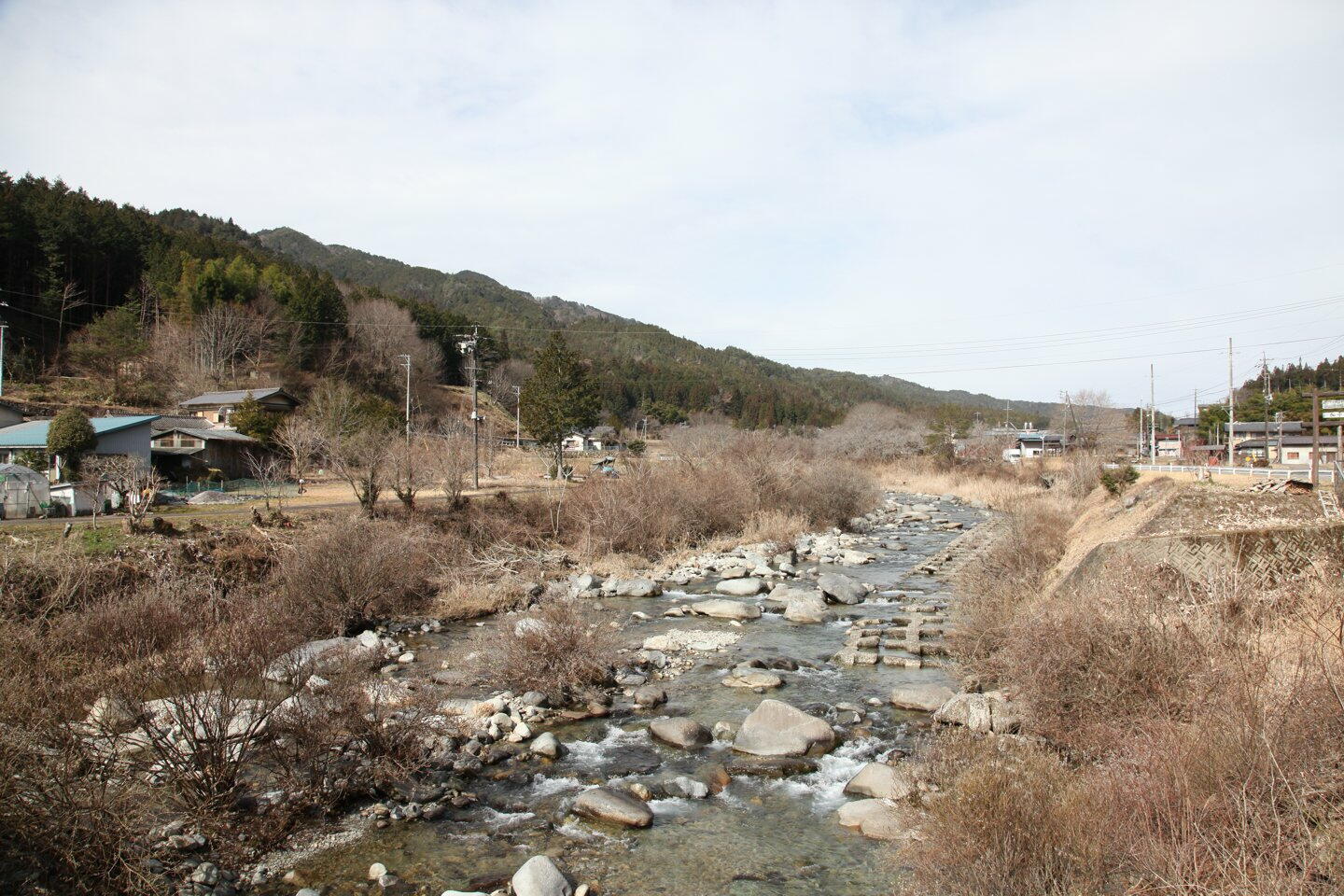 TSYSTEM�������t�H�g�F���q���