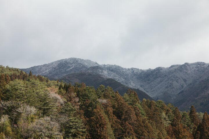 TSYSTEM�������t�H�g�F�����R