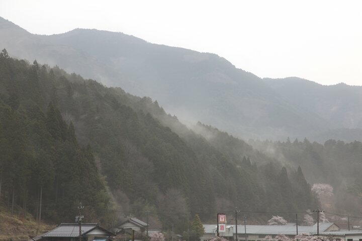 TSYSTEM�������t�H�g�F���q��쐅��