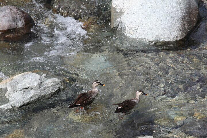 TSYSTEM�������t�H�g�F���q��쐅��