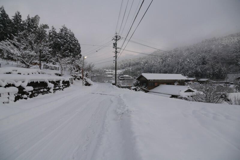 TSYSTEMtHgFqϐ2010/1/16i06F53)