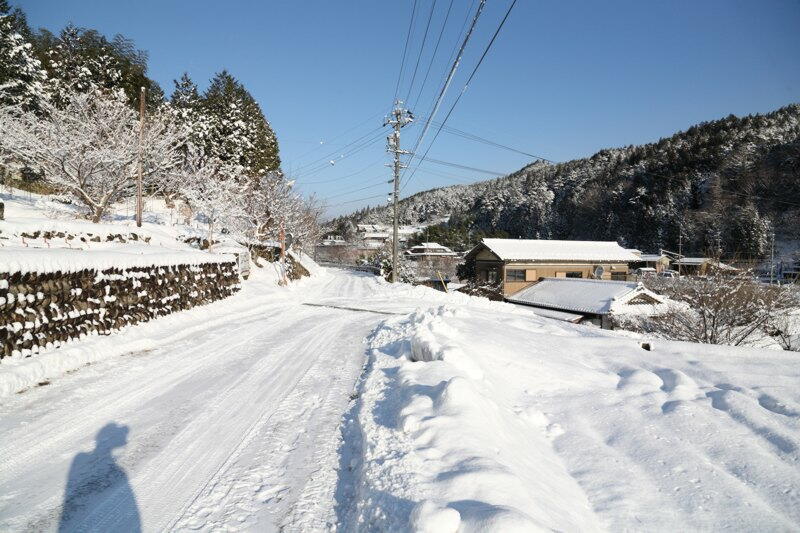 TSYSTEMかしもフォト:加子母積雪情報2011/1/25(08:45)