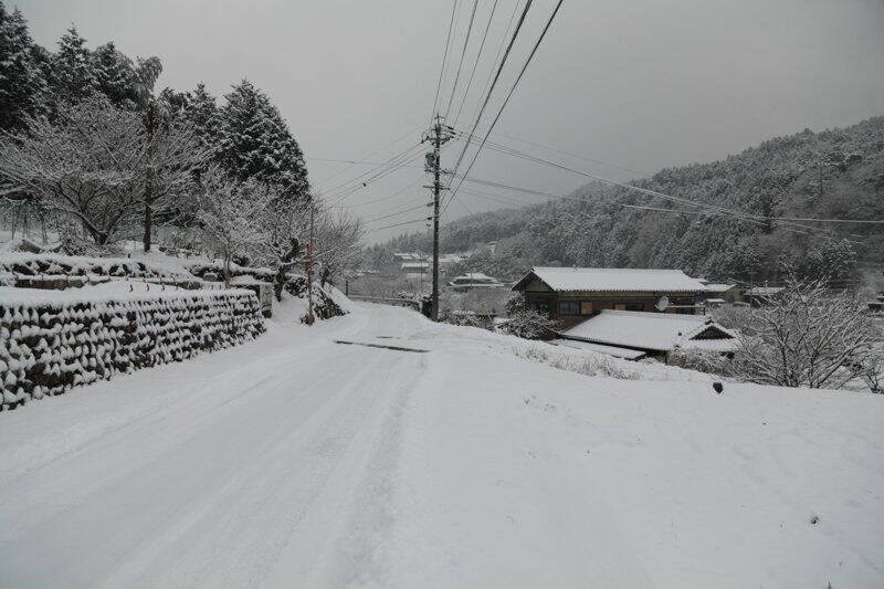 TSYSTEMかしもフォト:加子母積雪情報2012/01/27(08:28)