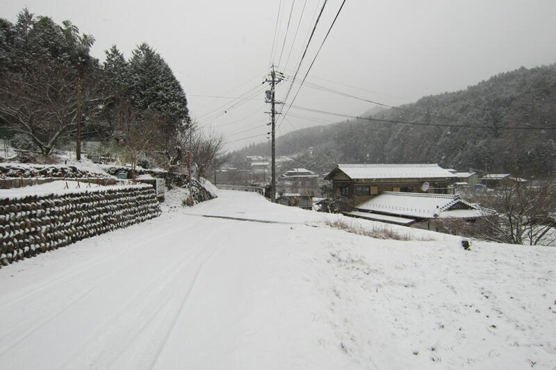 TSYSTEMtHgFqϐ2012/02/09i07F52)