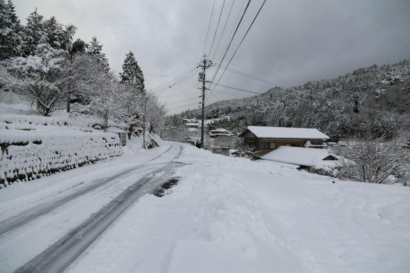 TSYSTEMかしもフォト:加子母積雪情報2012/12/10(07:37)