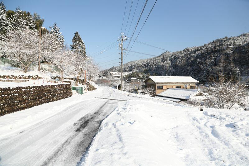 TSYSTEMかしもフォト:加子母積雪情報2013/02/23(08:24)