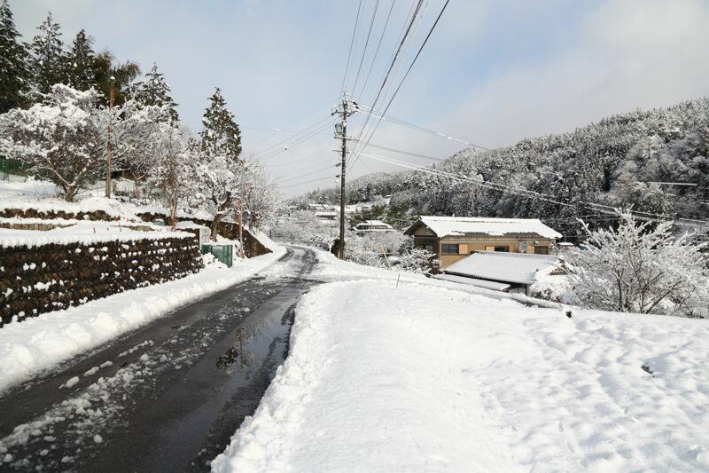 TSYSTEMかしもフォト:加子母積雪情報2013/02/13(08:48)